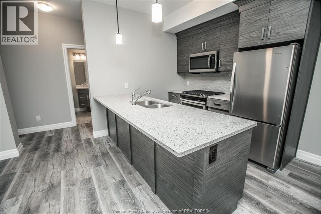 Unit 205 - 5840 NEWMAN, LaSalle 5