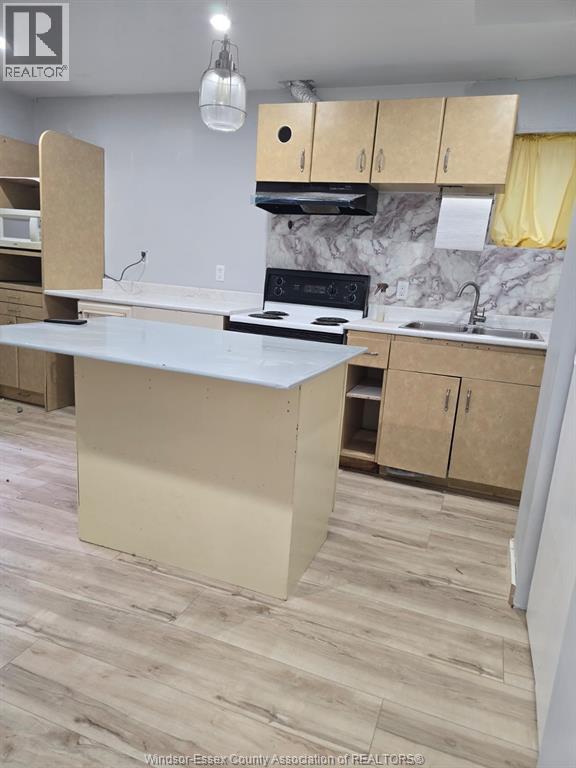 Unit LOWER - 1849 DROUILLARD, Windsor 2