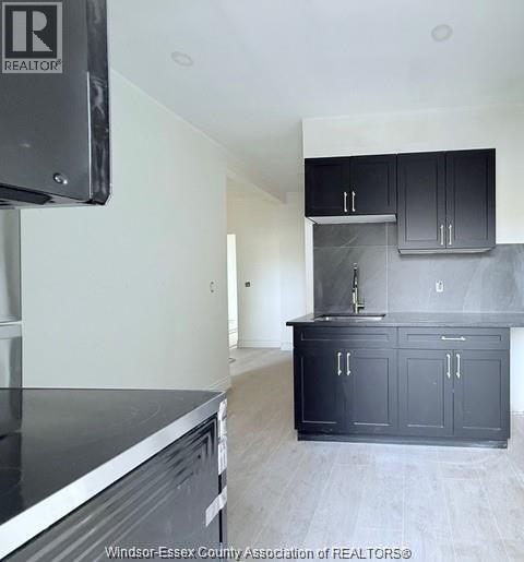 Unit 201 - 691 OUELLETTE, Windsor 4