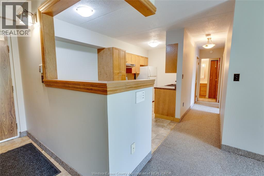 Unit 104 - 3355 SANDWICH STREET, Windsor 5
