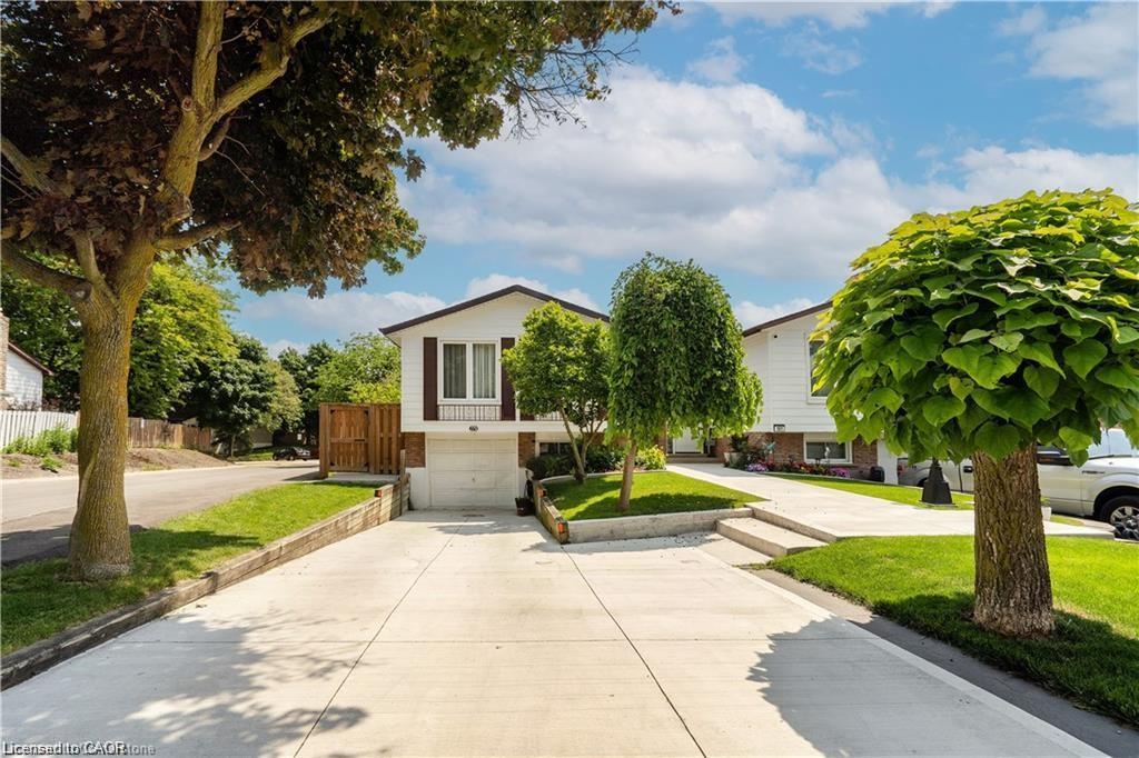 Unit Lower Unit - 179 Wendover Drive, Hamilton 2